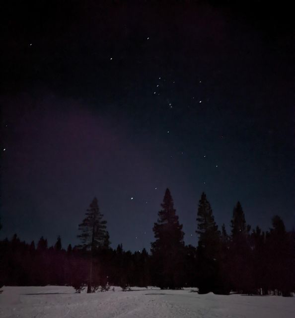 Moonlight Snowshoe Tour Under a Starry Sky - 2-Mile Moonlit Journey