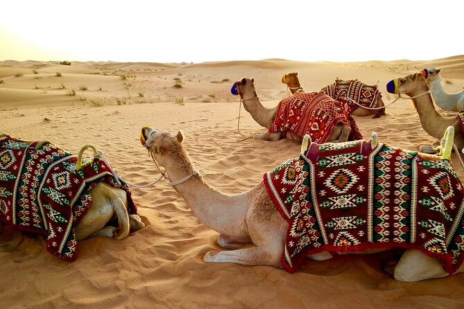 Morning Desert Safari Dubai Private Tour - Important Considerations