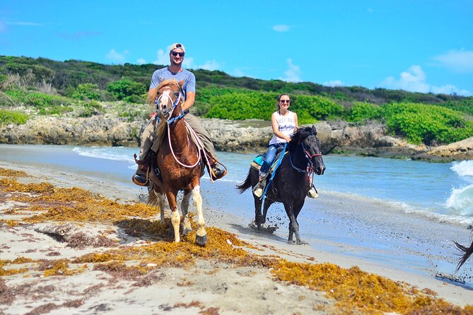 Morning Horseback Riding Tour From Punta Cana - Cancellation and Confirmation Policy