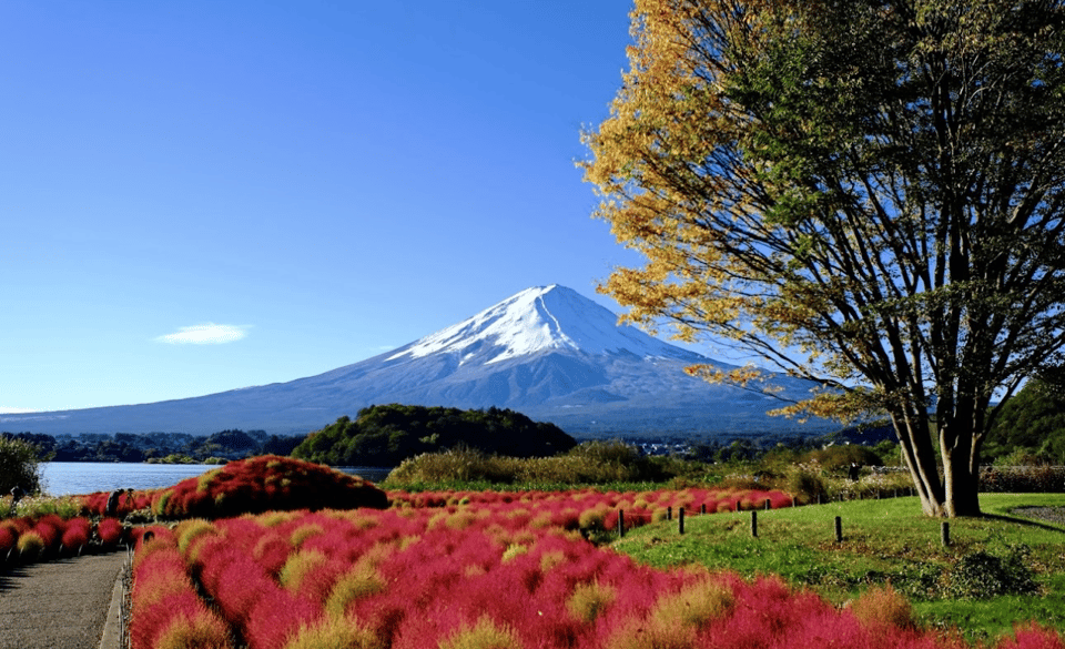 Mount Fuji Full Day Tour With Private Guide With Pick-Up - Comfortable Transportation Options