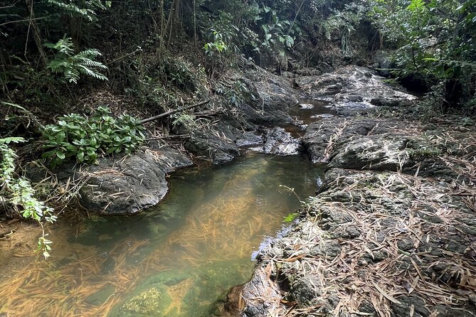 Mount Healthy National Park Private Hike Tour in Tortola - Tour Accessibility