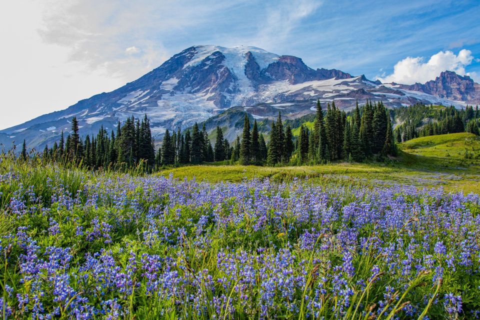 Mount Rainier National Park: Audio Tour Guide - Wildlife Sightings and Observation