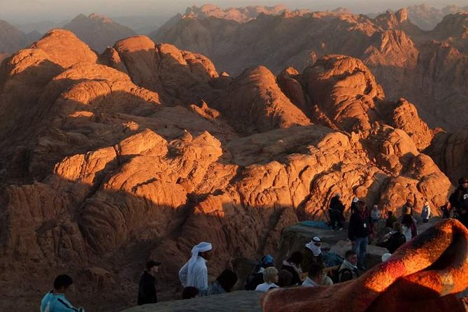 Mount Sinai & St.Catherine Monastery - Private Tour From Sharm El Sheikh