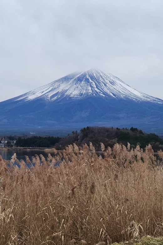 Mt Fuji and Hakone Private Tour With English Speaking Driver - Booking and Availability