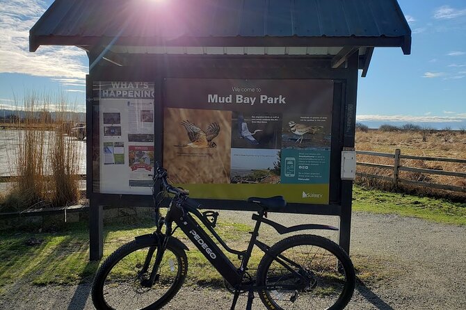 Mud Bay Park Bicycle Rental - Bicycle Rental Options