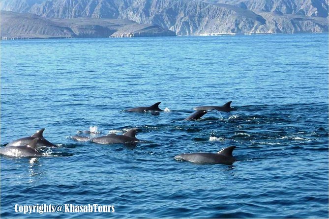 Musandam Khasab Day Trip and Dhow Cruise From Dubai - Booking Confirmation and Accessibility