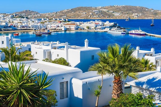 Mykonos Town and Island Half-Day Tour - Visiting Scenic Spots