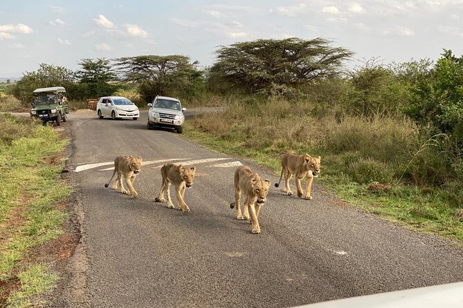 Nairobi National Park and Giraffe Center - Confirmation and Accessibility