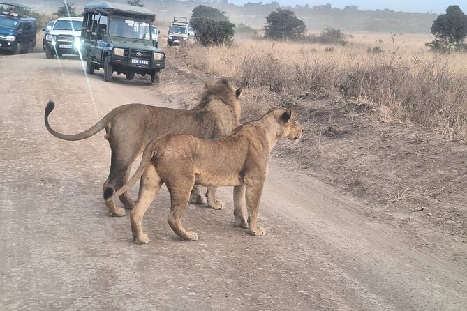 Nairobi National Park and Giraffe Centre Guided Safari Tour - Schedule