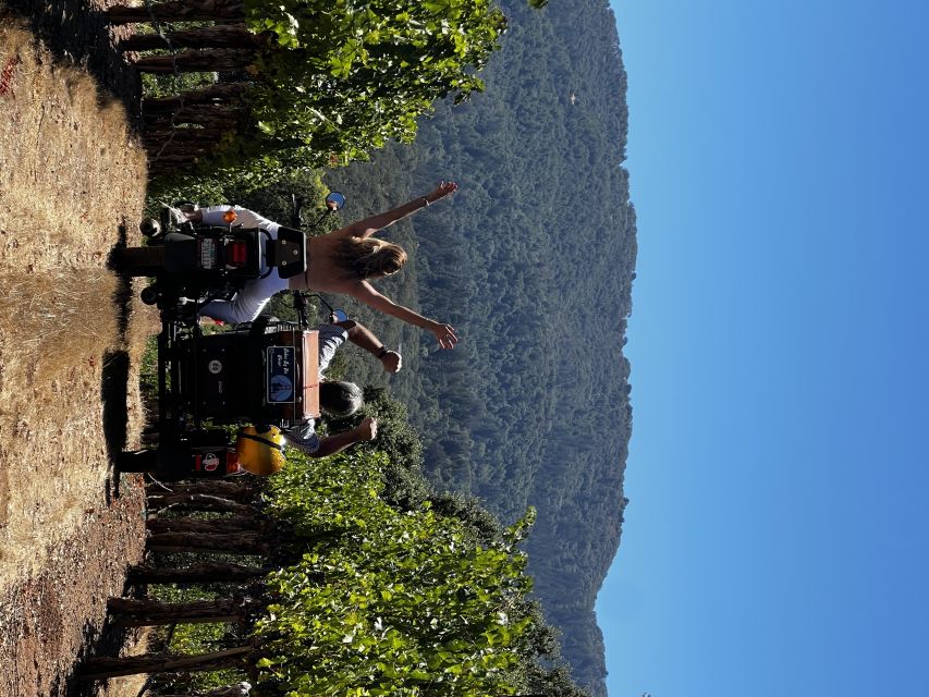 Napa Valley: Napa Valley Guided Sidecar Tour With 3 Wineries - Gourmet Picnic Lunch