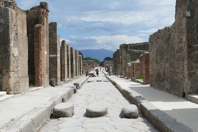 Naples and Pompeii Half-Day Guided Tour From Naples - Tour Operator Response and Clarifications