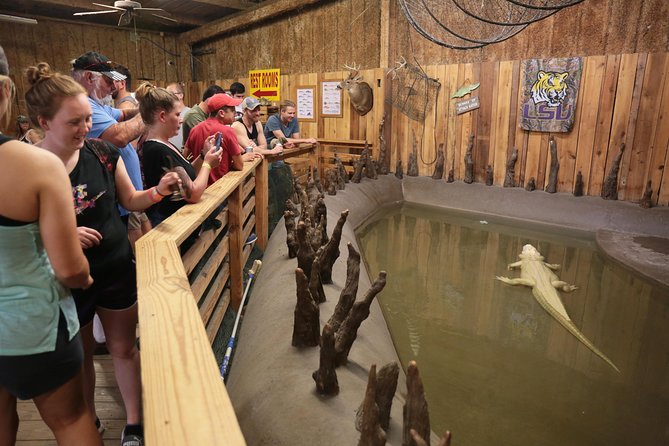 New Orleans Airboat Ride - Customer Reviews and Feedback