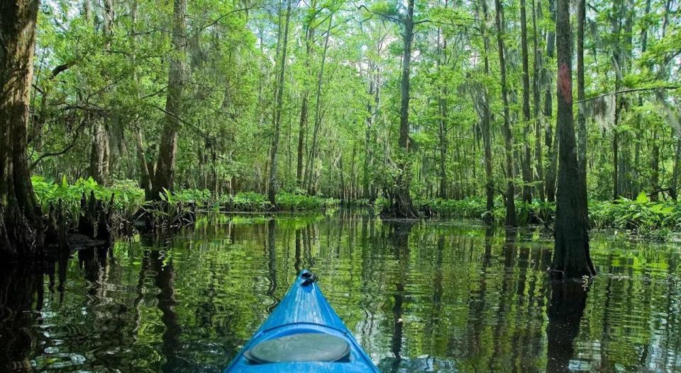 New Orleans: Manchac Magic Kayak Swamp Tour - Included Amenities