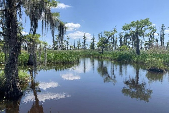 New Orleans Small-Group Airboat Swamp Tour - Customer Reviews and Feedback