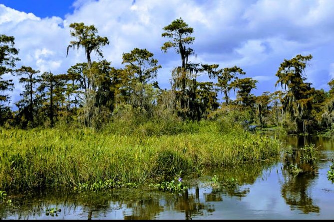 New Orleans Swamp Tour Boat Adventure With Transportation - Booking and Cancellation Policies