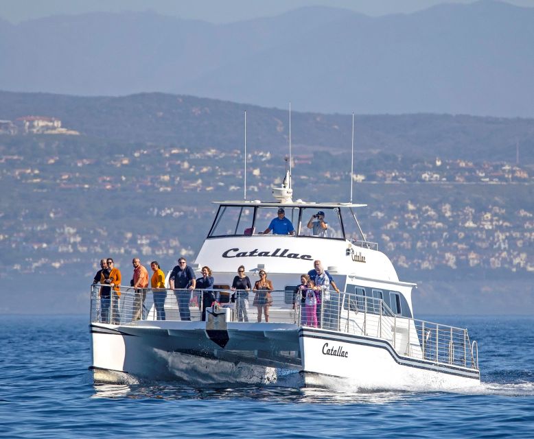 Newport Beach: Luxury Whale Watching Catamaran Cruise - Booking and Cancellation Policy