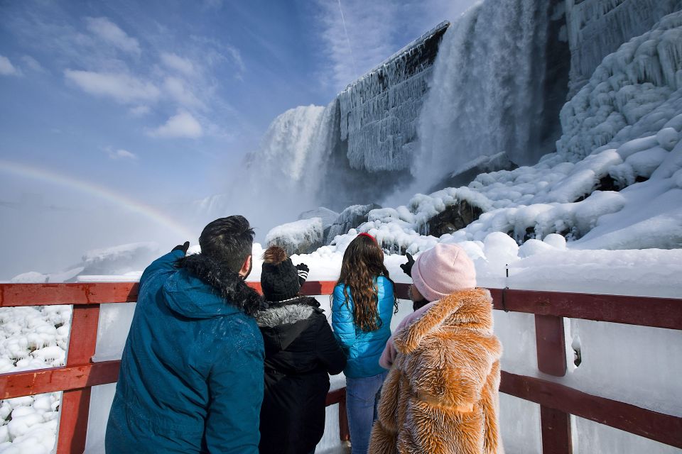 Niagara Falls, USA: Power Of Niagara Falls & Winter Tour - Goat Island and Terrapin Point