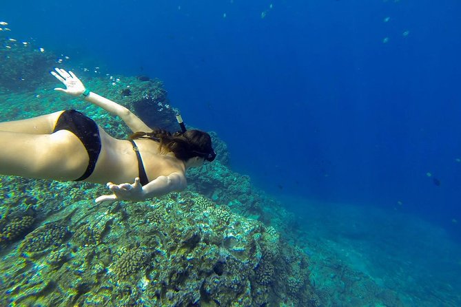 Niihau and Na Pali Coast Snorkel Boat Tour - Health and Safety Considerations