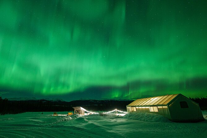 Northern Lights & Aurora Borealis Viewing - Small Groups - Traveler Recommendations