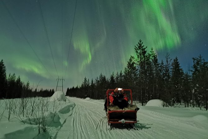 Northern Lights Sledge Ride - Snowmobile-sled Experience