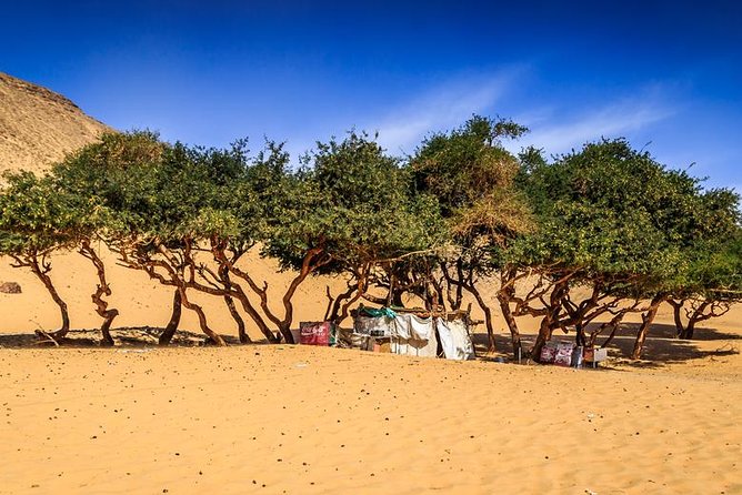 Nubian Village by Motorboat In Aswan - Hotel Pickup and Drop-off