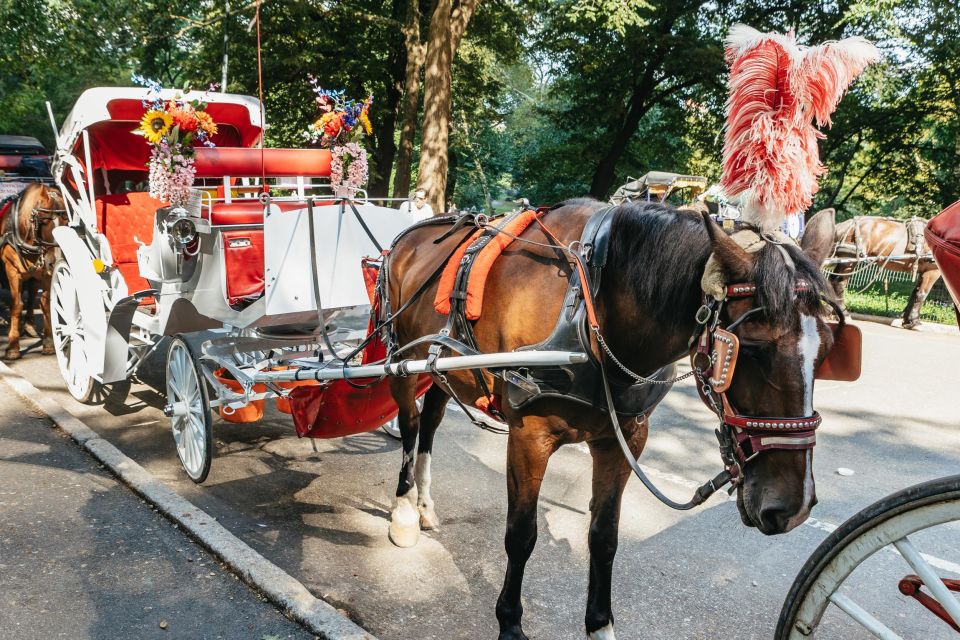 NYC MAGICAL NIGHT TIME RIDE Central Park/Rockefeller Center - Inclusions and Amenities