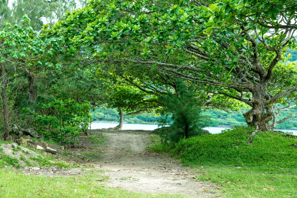 Oahu: Grand Circle Island Self-Guided Audio Driving Tour - Pricing and Booking