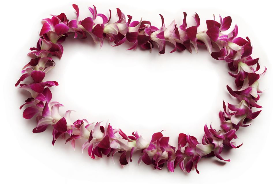 Oahu: Honolulu Airport (HNL) Traditional Lei Greeting - Customer Reviews and Ratings