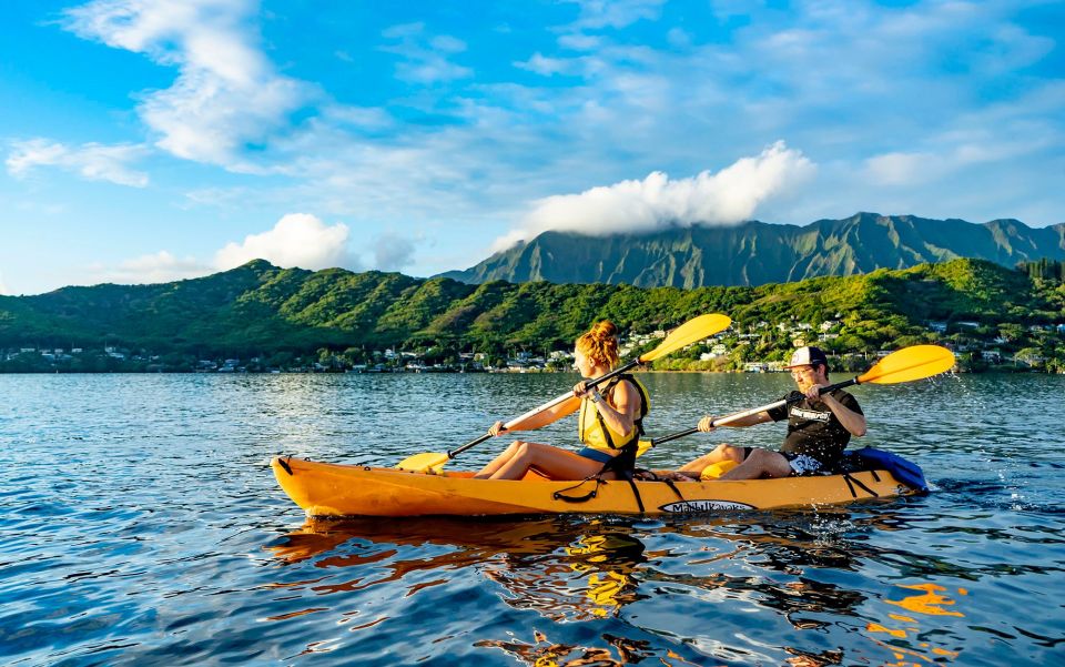 Oahu: Kaneohe Bay Coral Reef Kayaking Rental - Highlights of the Experience