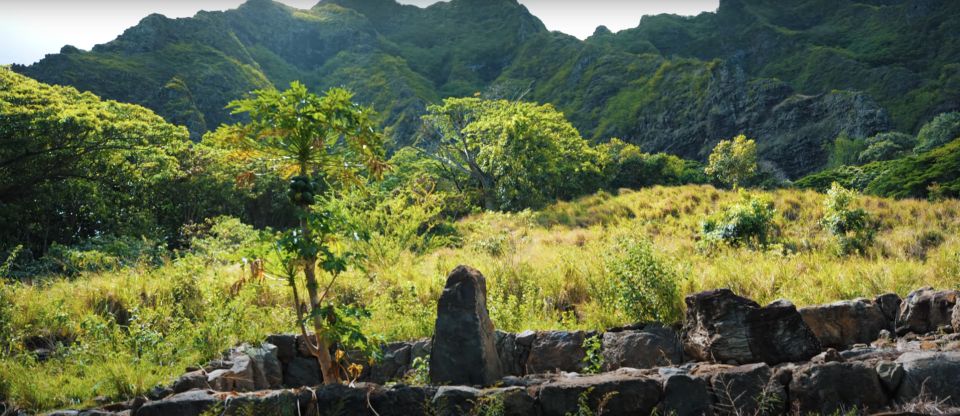 Oahu: Kualoa Open Air Jungle Expedition Tour - Meeting Point and Confirmation