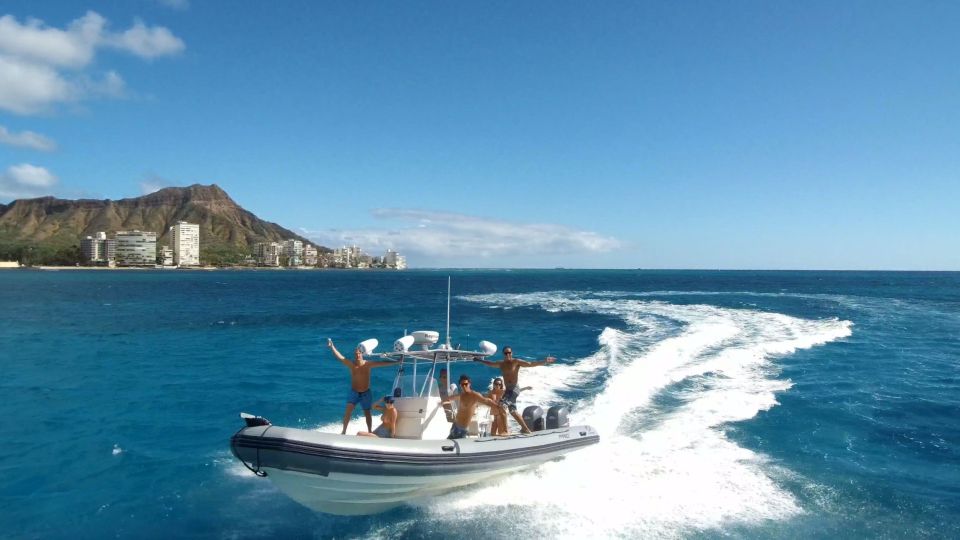 Oahu: Waikiki Private Snorkeling and Wildlife Boat Tour - Pricing and Booking