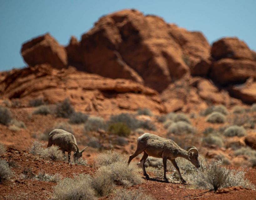 Off-road Desert Adventure: Secrets of the Old West - Self-guided Tour