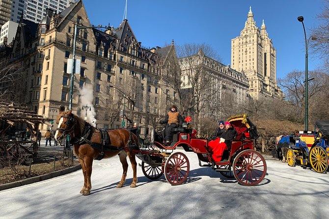 Official NYC Horse Carriage Rides in Central Park Since 1979 ™ - Customer Feedback and Reviews