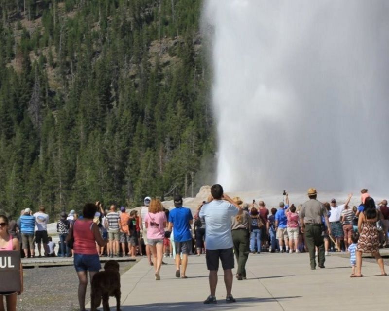 Old Faithful Lower Loop Tours - Included in the Tour