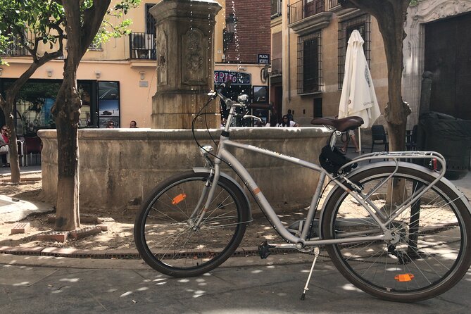 OLD TOWN | Private Guided Tour on Bike, E-Bike, E-Step or Segway - Valencia Cathedral and Churches