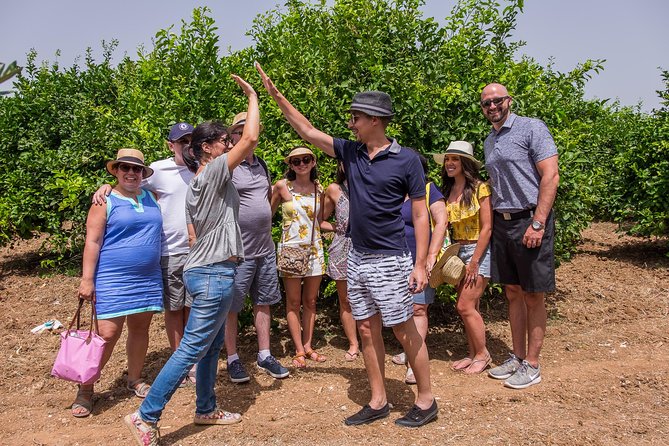 Olive Oil Tasting in Syracuse - Fairytale Tour - Connecting With Sicilian Hospitality and Traditions