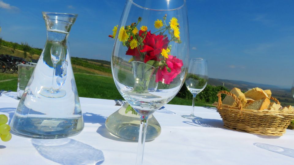 One Day Wine Route by Bike - Included in the Tour