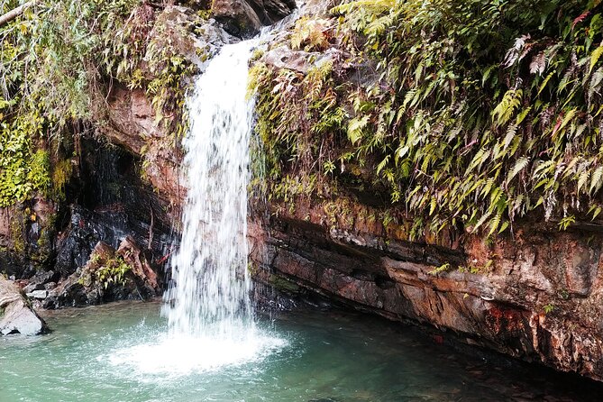 Original Tropical Rainforest and Beach Adventure - Exploring the Rainforest