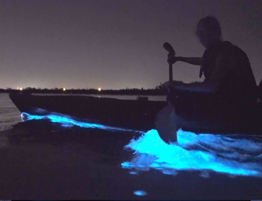 Orlando: Bioluminescence Clear Kayaking or Paddleboarding - Meeting Point