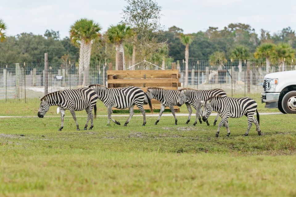 Orlando: Drive-Thru Safari Park at Wild Florida - Visitor Ratings and Feedback