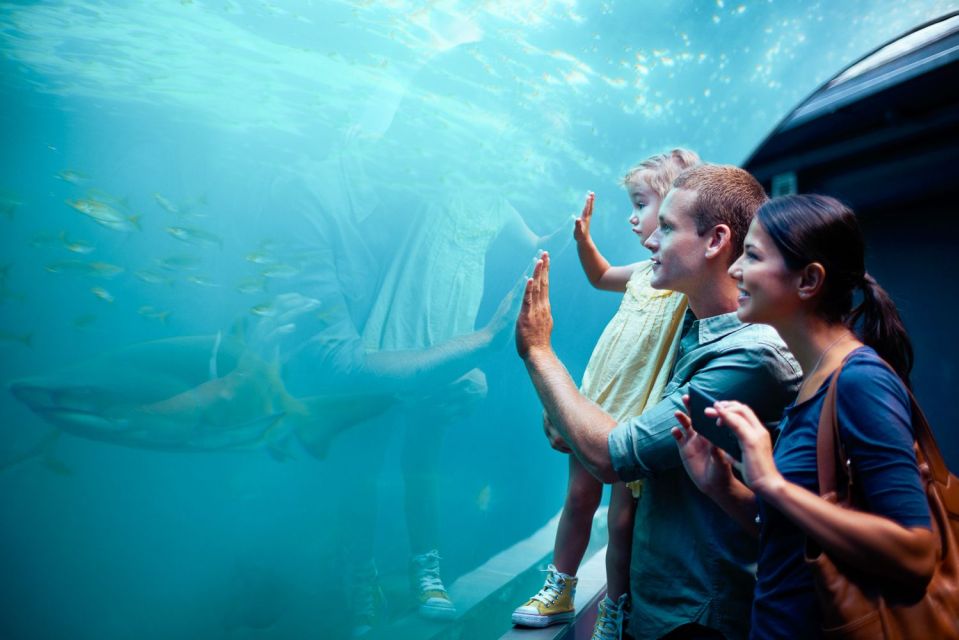 Orlando: SEA LIFE Orlando Aquarium - Visitor Reviews and Ratings