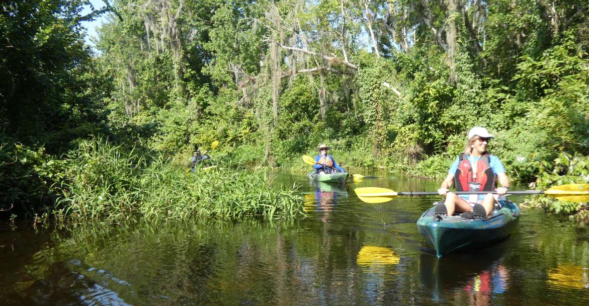 Orlando: Small Group Scenic Wekiva River Kayak Tour - Wildlife and Scenic Highlights