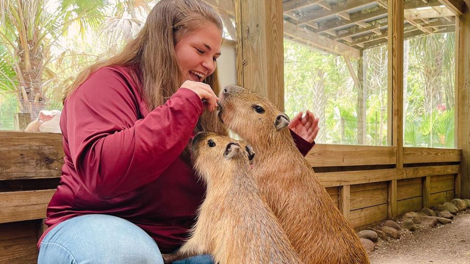 Orlando: Wild Florida Park, Gator Show & Animal Encounters - Location and Accessibility