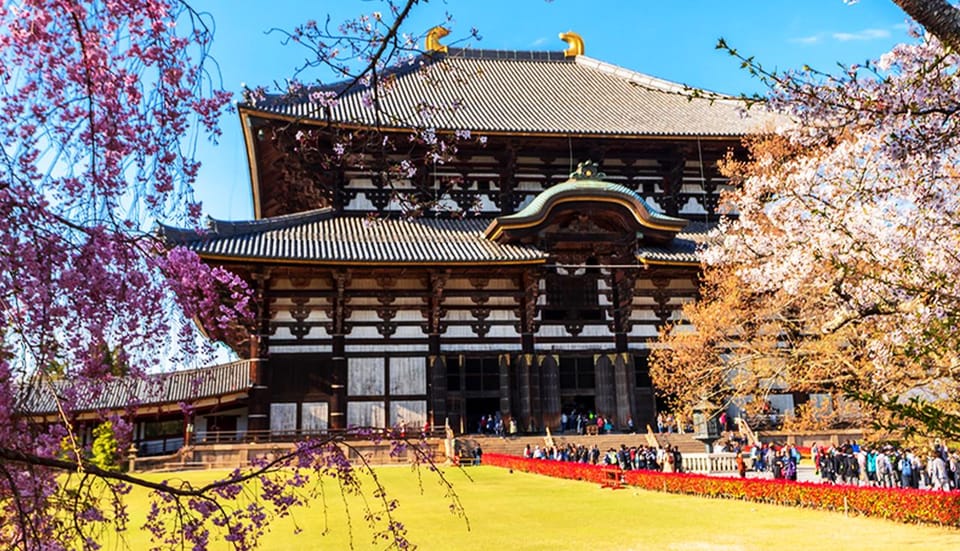 Osaka: Nara, Todaiji, Uji Matcha, and Hot Spring Tour - Inclusions and Requirements