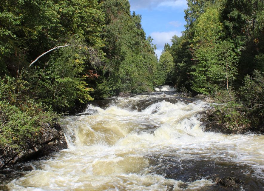 Oslo: Lysaker Wild River Walk - Tranquil Green Surroundings