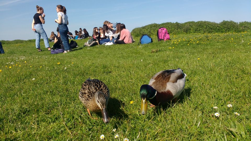 Oxford: River Cruise and Walking Tour to Iffley Village - Inclusions