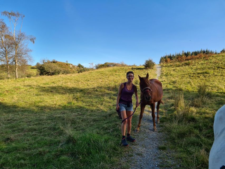 Packhorse Picnic Lake District Full Circle Experiences - Positive Customer Reviews