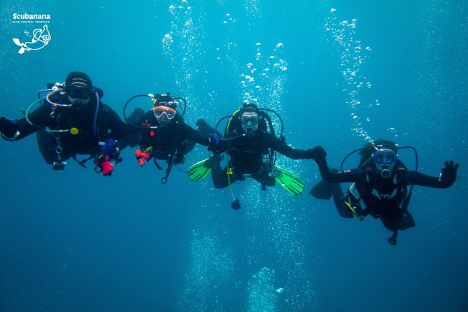 PADI Advanced Open Water Diver Course (AOWD) - Photo Opportunity