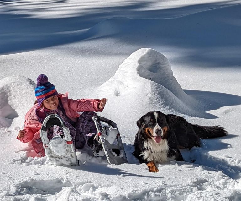 Palisades Point Half-Day Snowshoeing Hike - Important Considerations