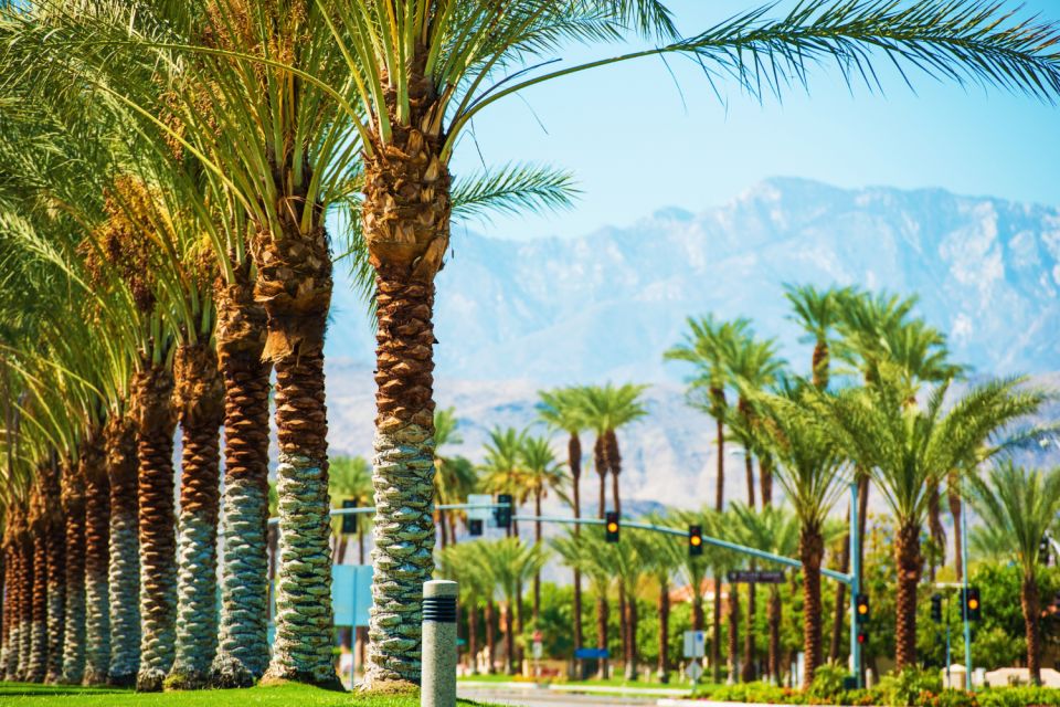 Palm Springs & Joshua Tree: National Park Self-Guided Tours - App and Navigation Features